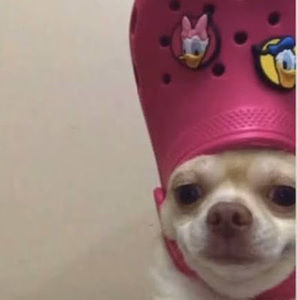 Meet your Posher, Fernanda